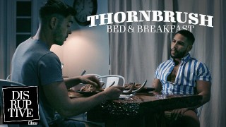 变态的床和早餐老板爬行并乱搞搁浅的乔克 - Nico Coopa,布洛克班克斯