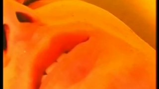 罗密欧别墅 - 场景 2