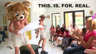 跳舞的熊 - 单身汉和熊