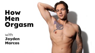 HETEROFLEXIBLE - 男人如何与迷人的螺柱杰登·马科斯(Jayden Marcos)达到高潮!看他混蛋!全场