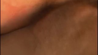 熊绒毛 - 场景 2