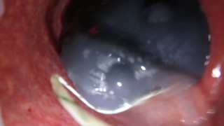 内部视图 Bad Dragon Cum