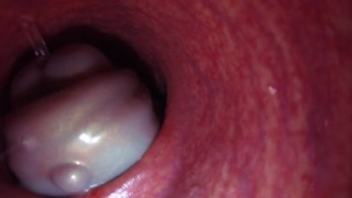 内部视图 Large Bad Dragon Flint Reams And Cums In My Ass