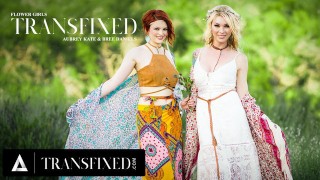 TRANSFIXED - Bree Daniels 和 Aubrey Kate 的性感和火辣的性爱