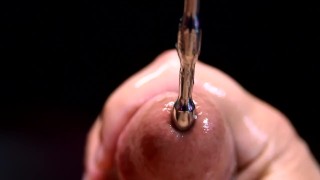 发声阴茎塞 XXXL 特写美丽的生物