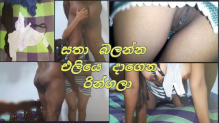 සතෙක් එලවන්න කෙල්ලො ඉන්න බෝඩිමට එන්න කිවුවා ඉතින් යනකොට (Go to her boarding school and fuck her